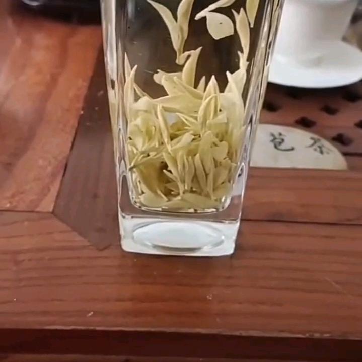 特种茶叶