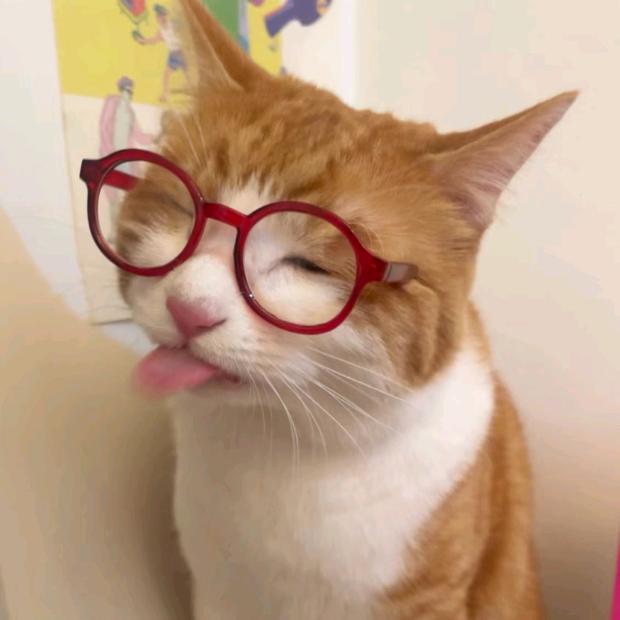 种一个月亮🌾🌹