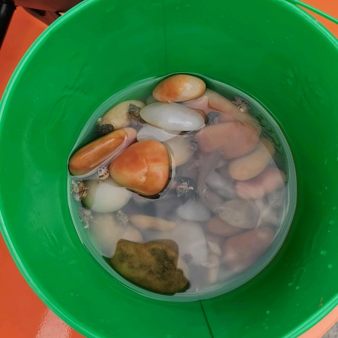 嗨喽！小陈