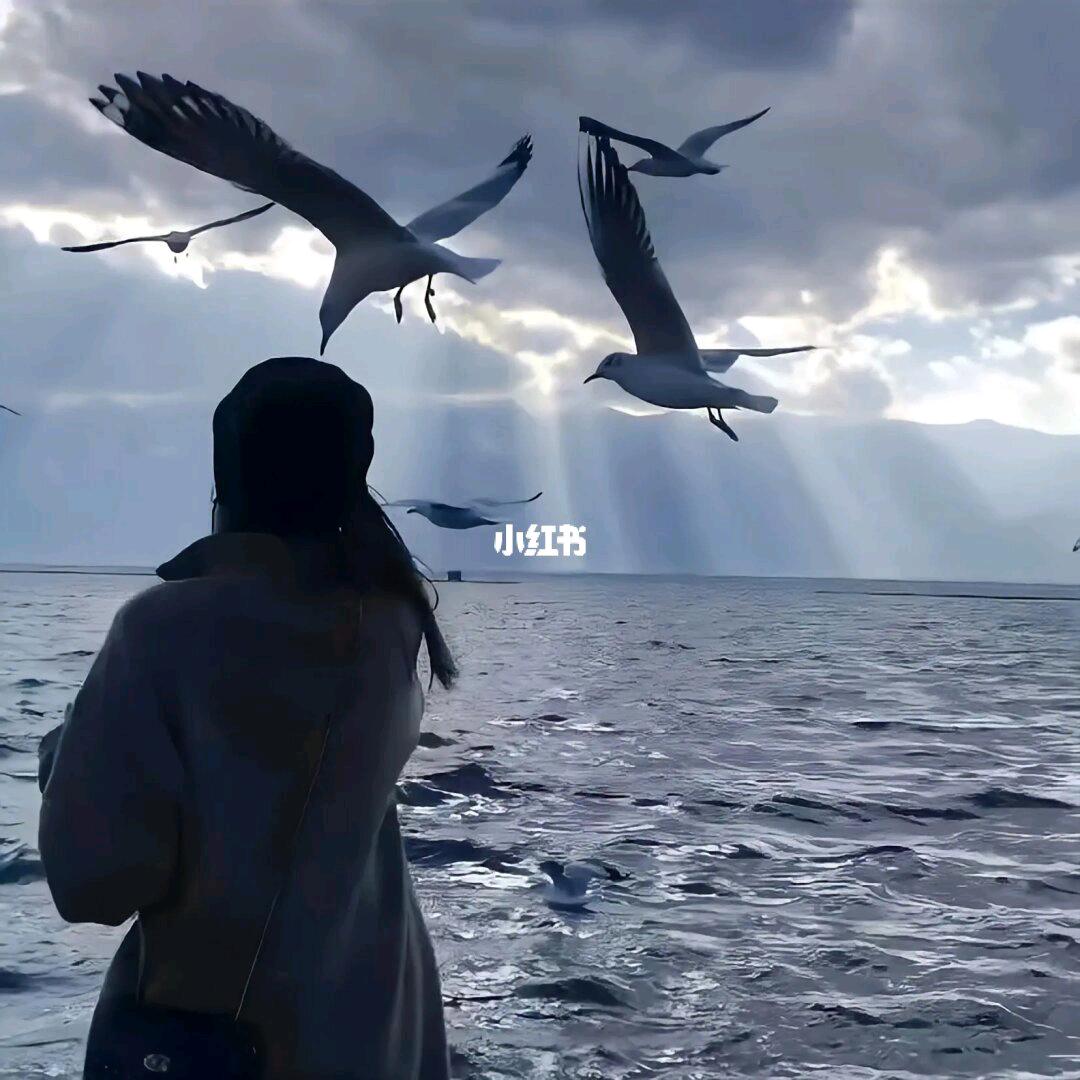 雾语须臾