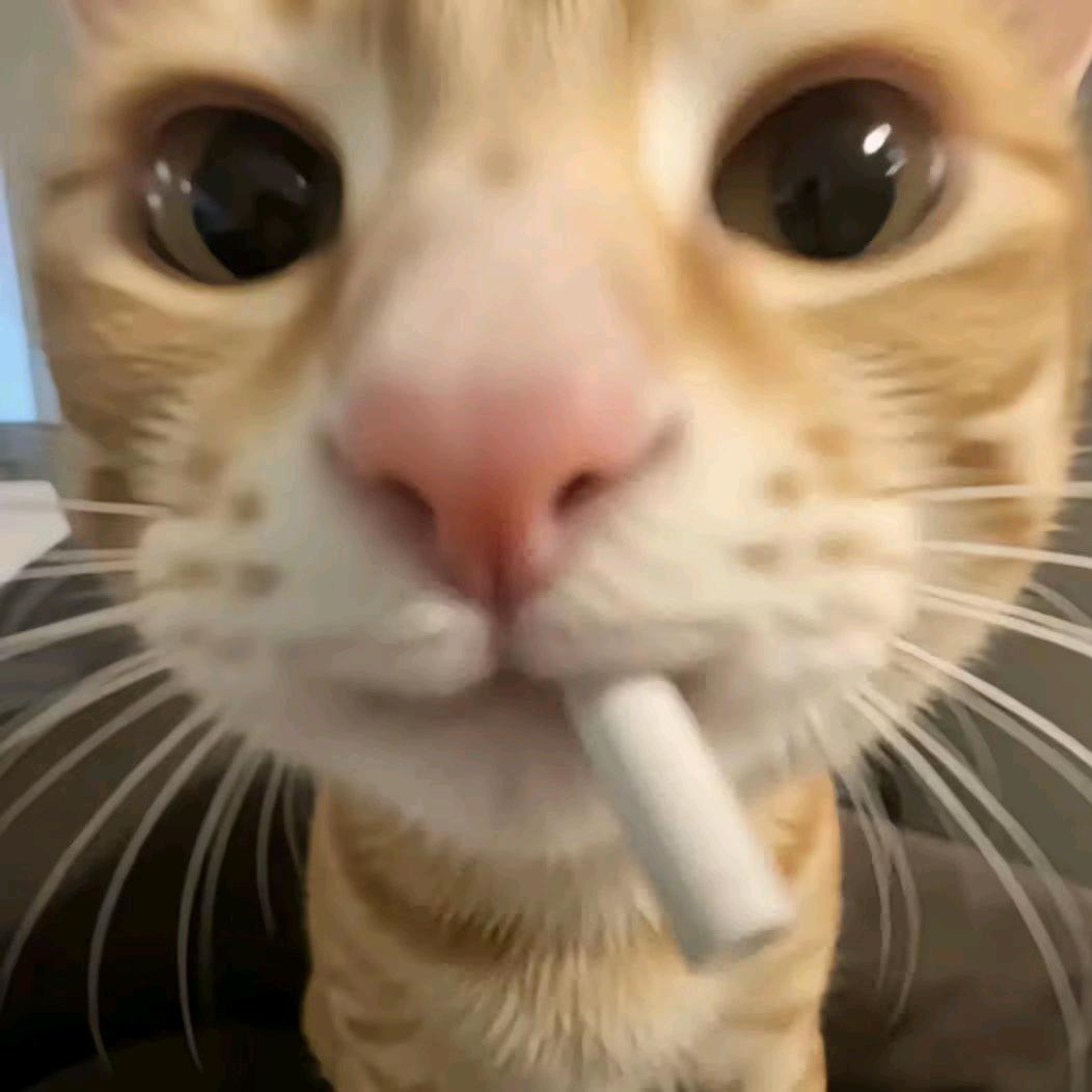 橘子不会玩游戏