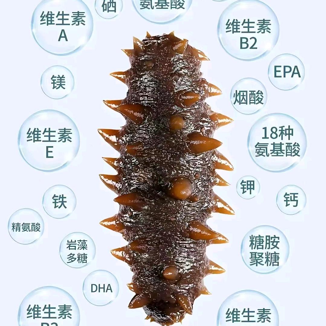 大连参补堂海参工厂店