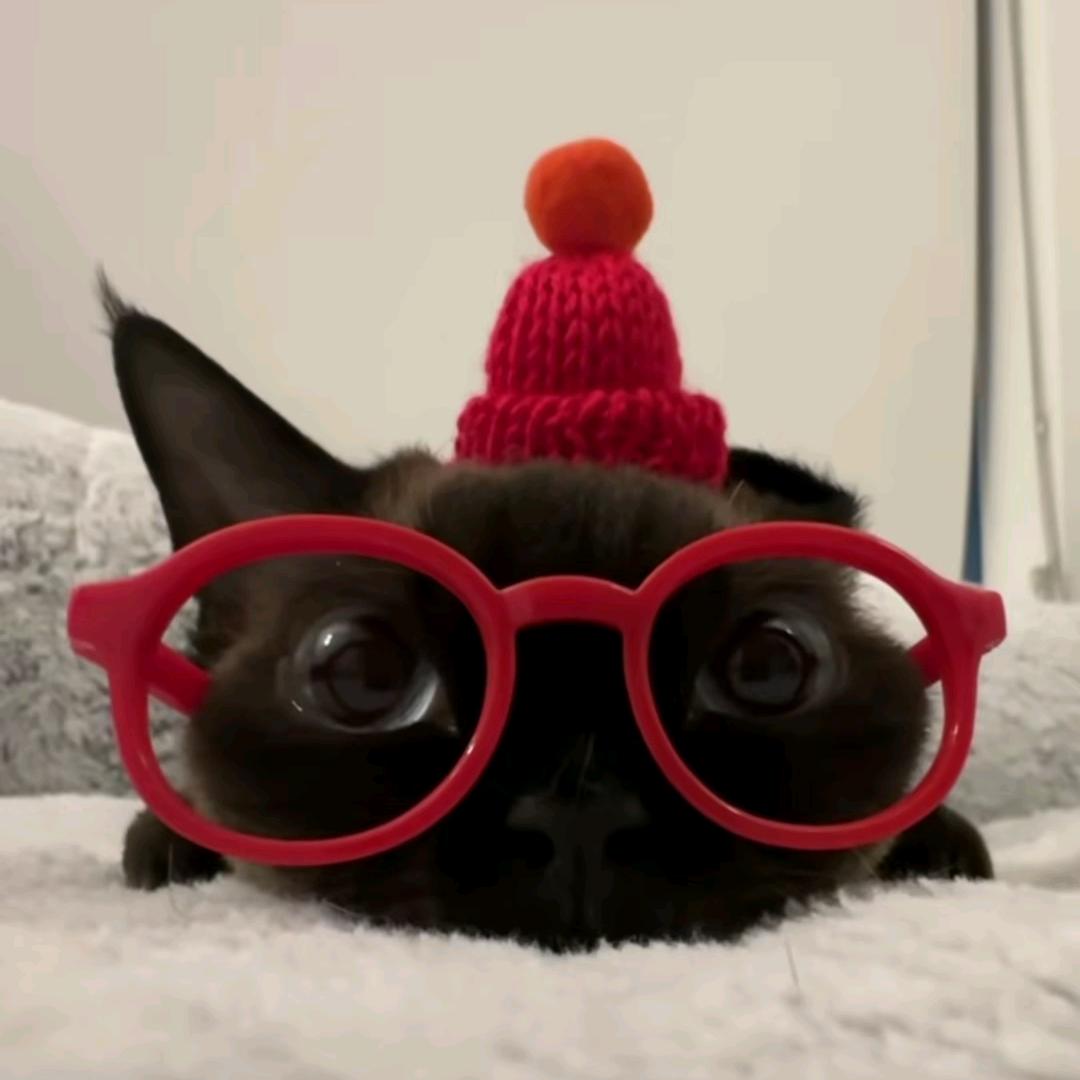 JIy