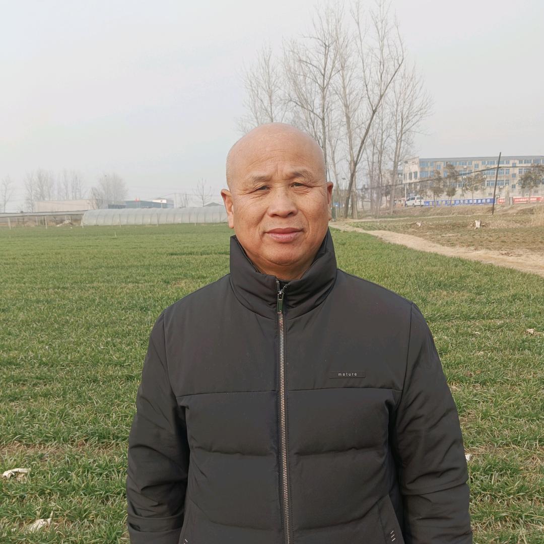 五哥（每下午1：30）