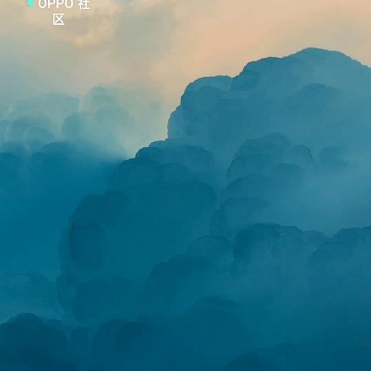 一心为了江山的北极熊