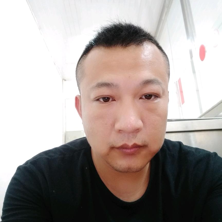 包头快乐吉娃娃