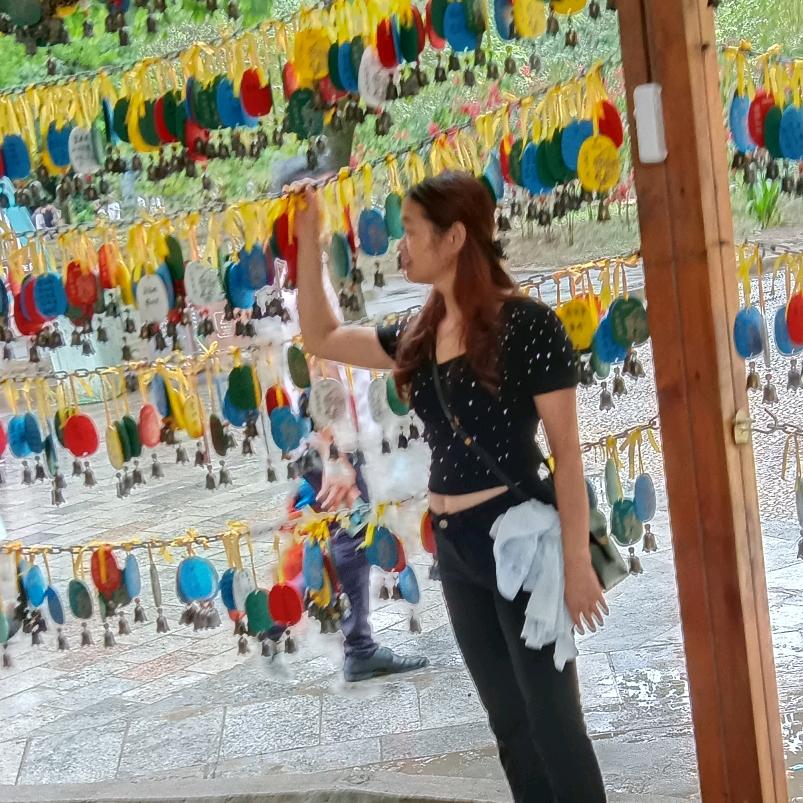 芙蓉😊