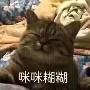 卿云ier