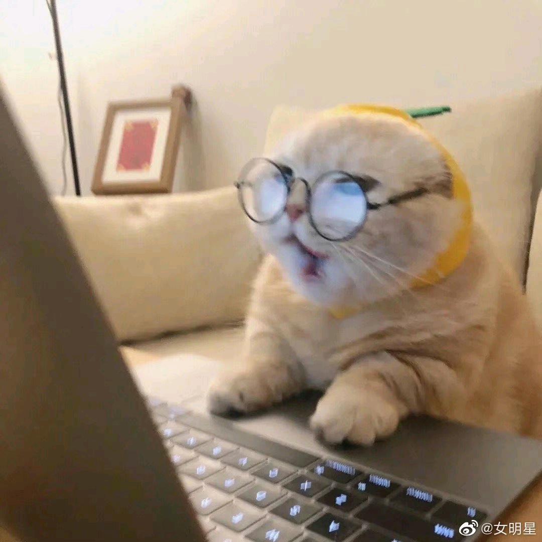 诗谙