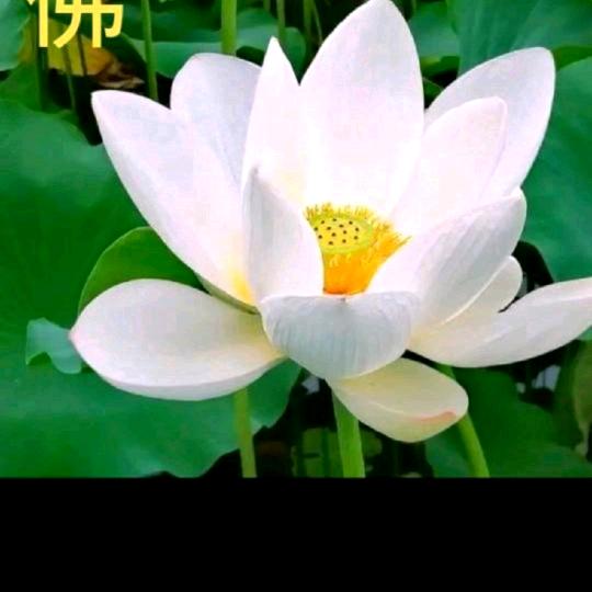 易玄阁四