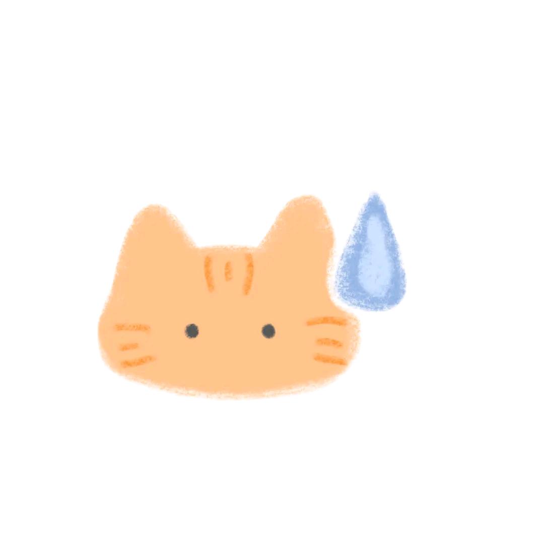 撅嘴战神小猫咪