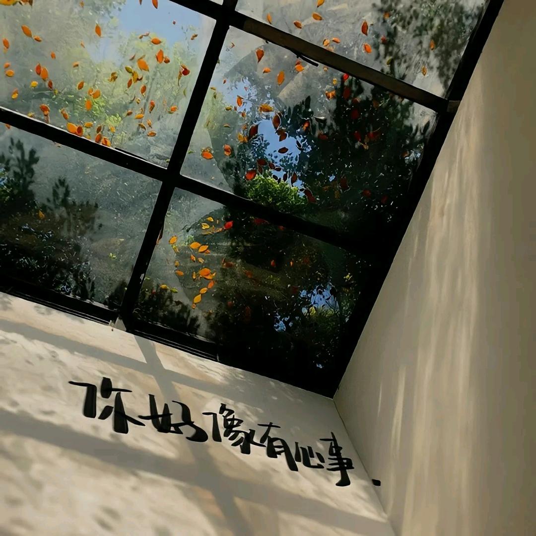 元ฅʕ•̫͡•ʔฅ ᑋᵉᑊᑊᵒ小元