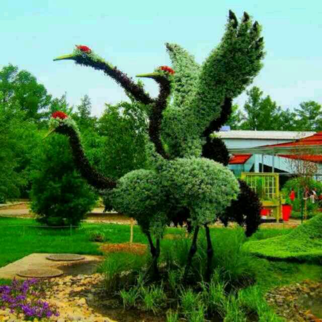 🚀🚀🚀🚀国防科技🚀🚀🚀🚀