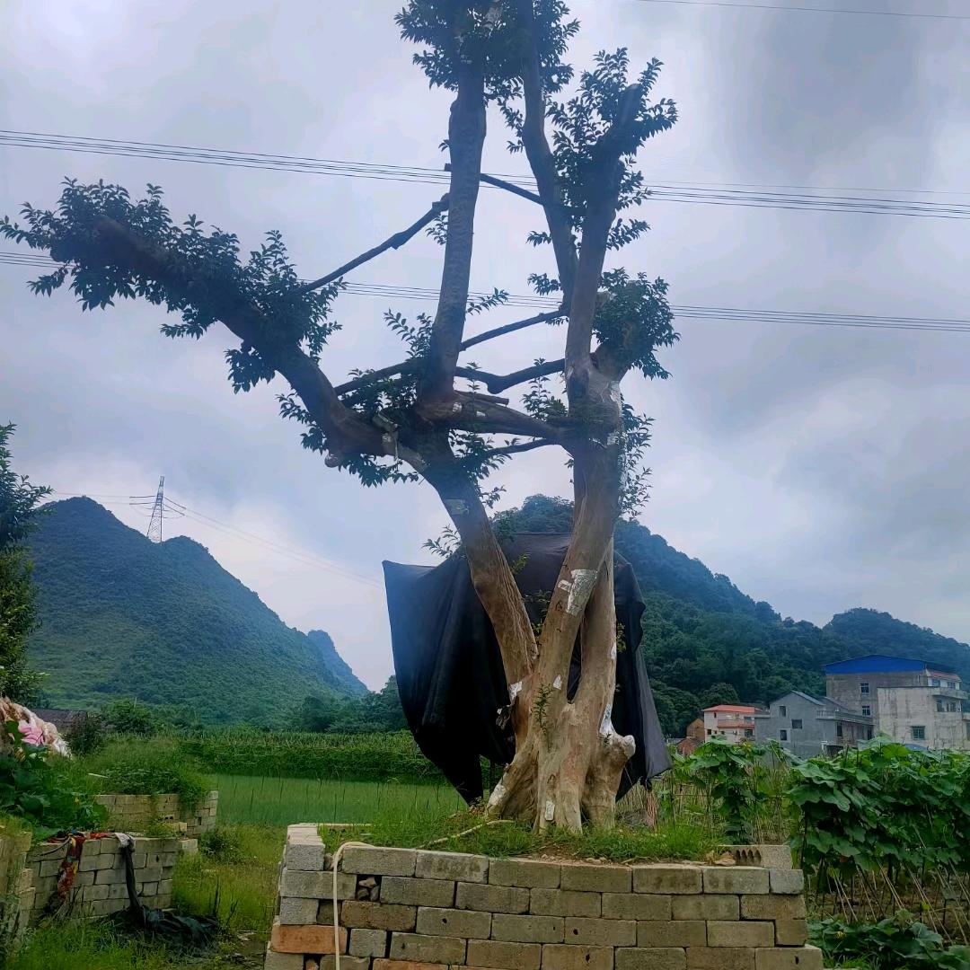 新的旅程
