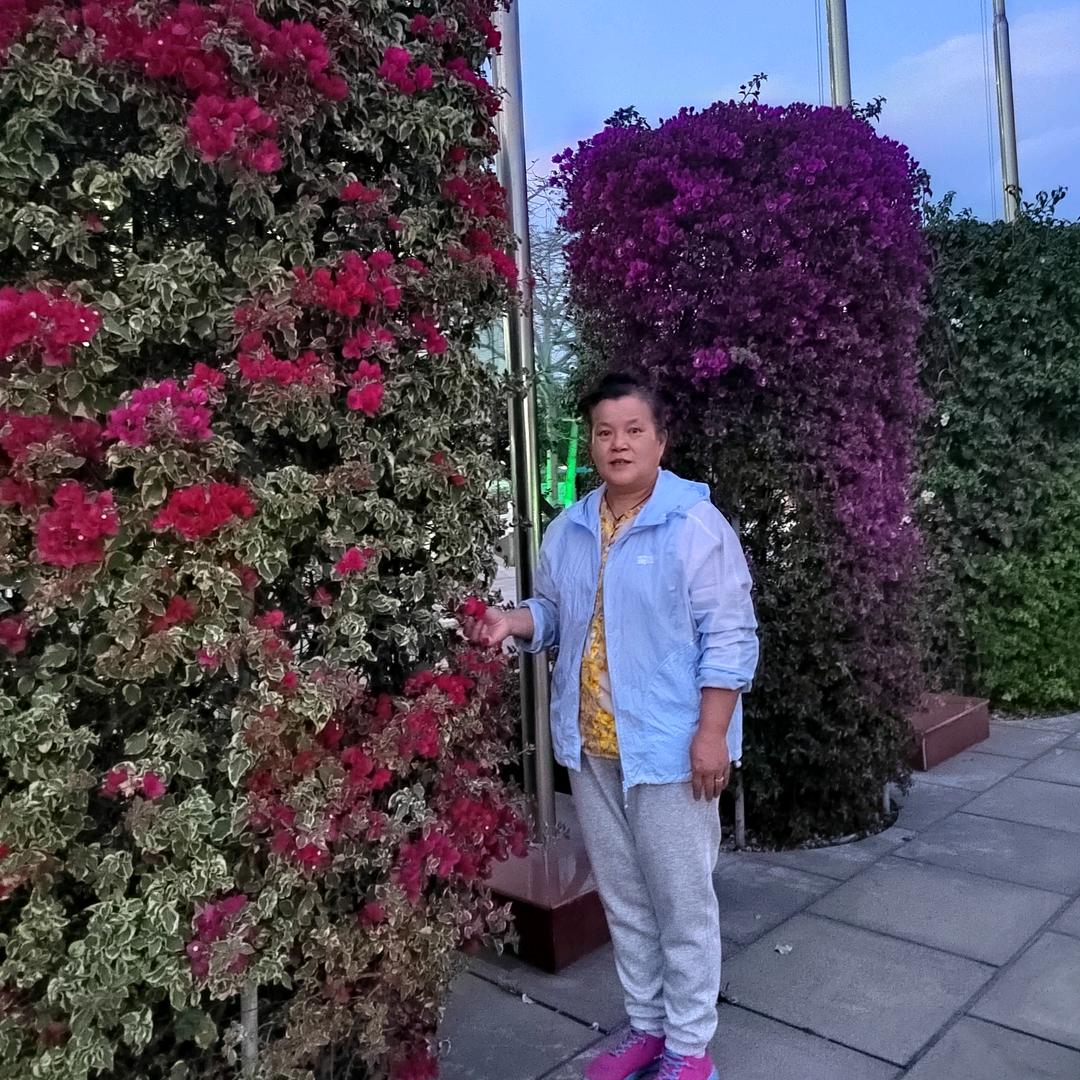 张淑敏