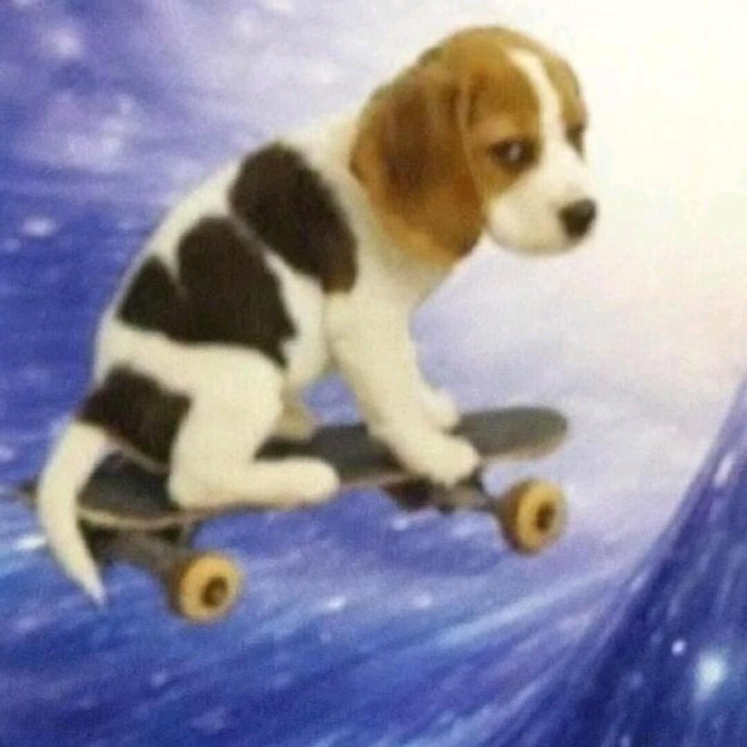 重生之我是狂暴无敌酷炫蟑螂狗