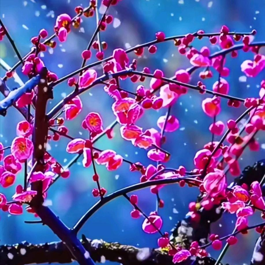 洪样好物分享/鸿样优选好物