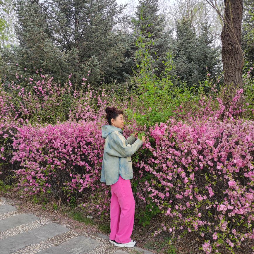 🔰梦醉红尘🔰