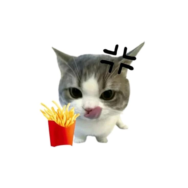 薯薯🍟