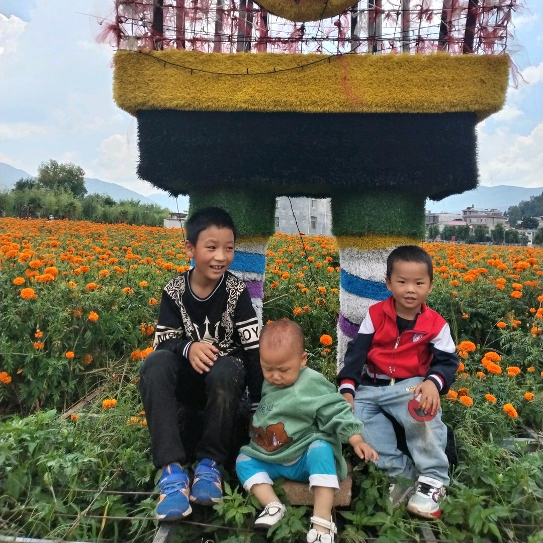 1314520