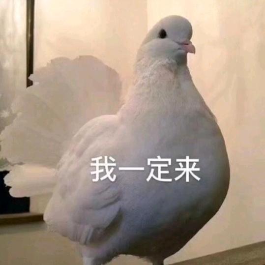 肆格人五第