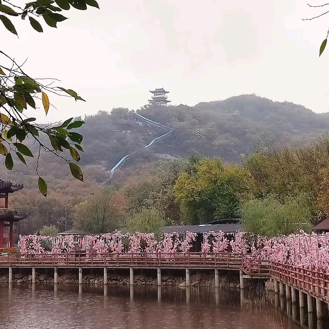 玉哥、
