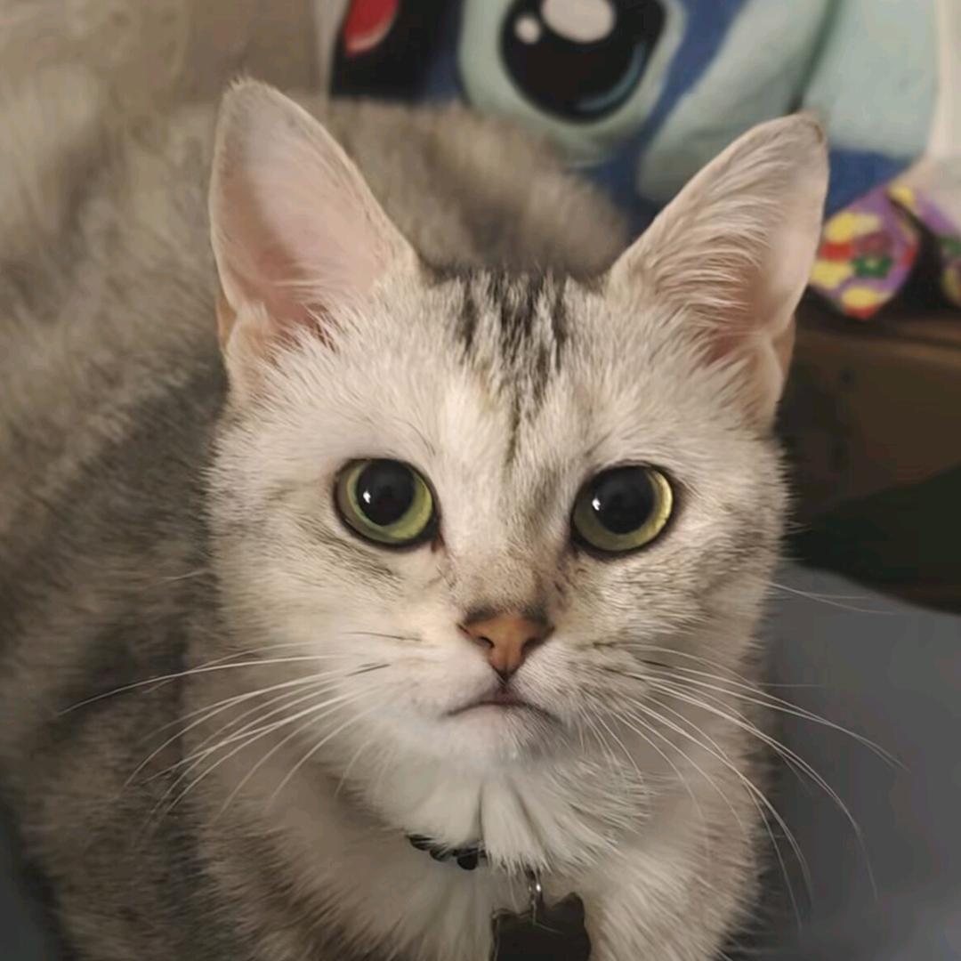 记着吃早饭啊！