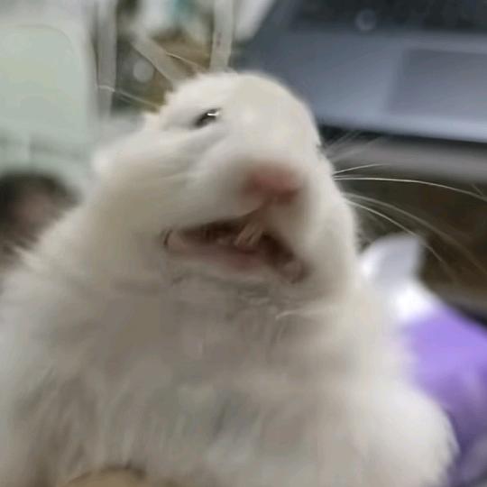 正觉阿赖耶识