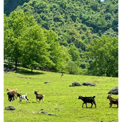 健康快乐的生活