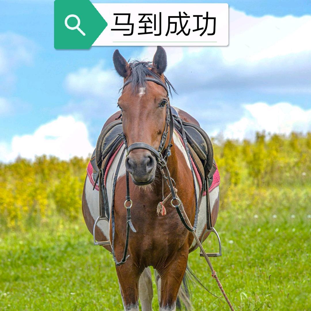 小友