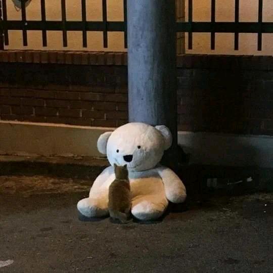 小诺生活日记🌿