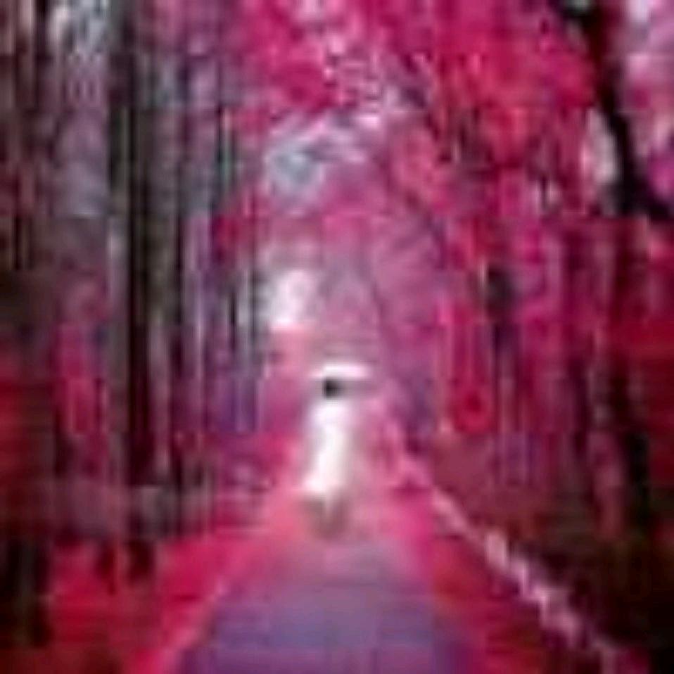 清风🥚💚👗💛💗💙💓