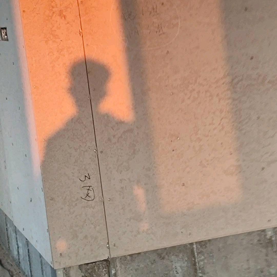 向十六