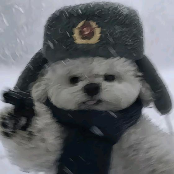 iiii
