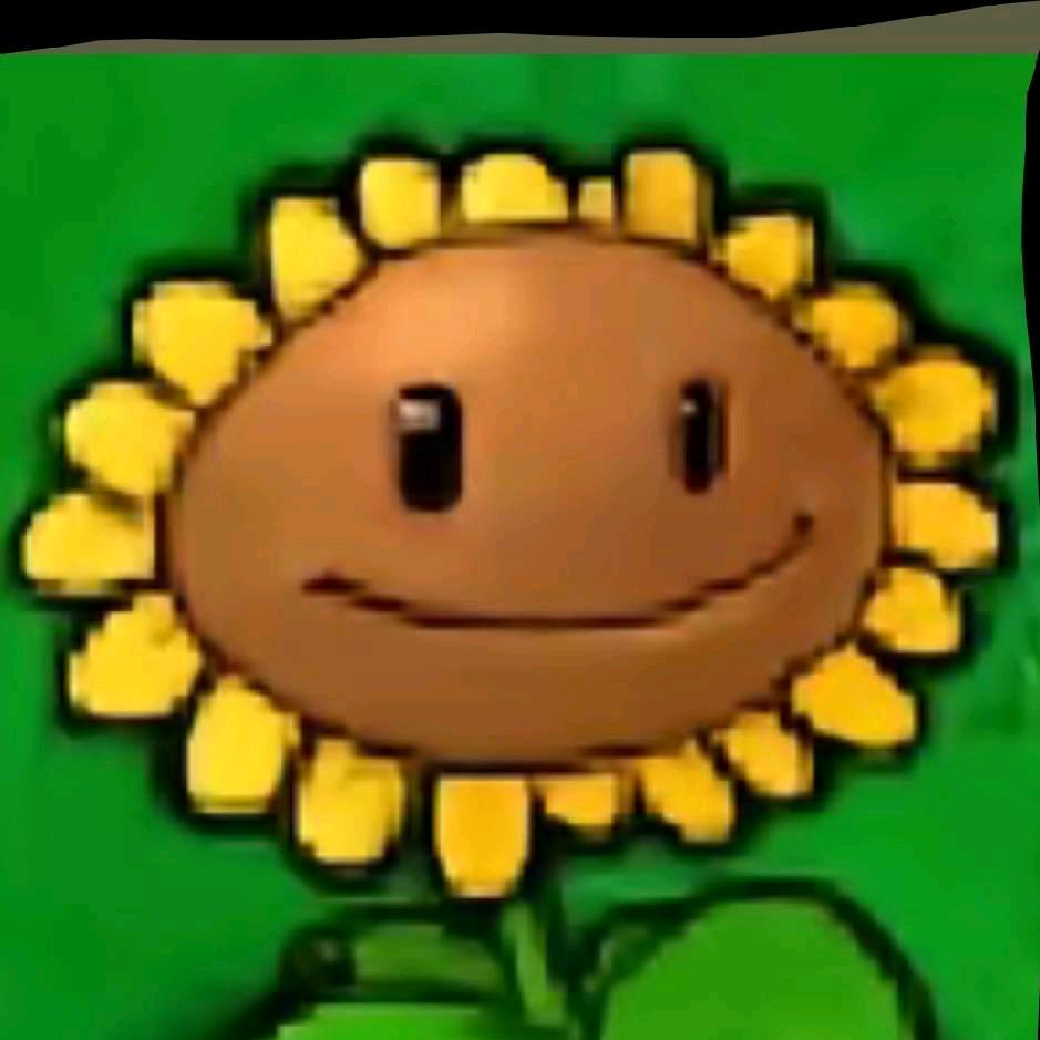 最阳光灿烂的一集