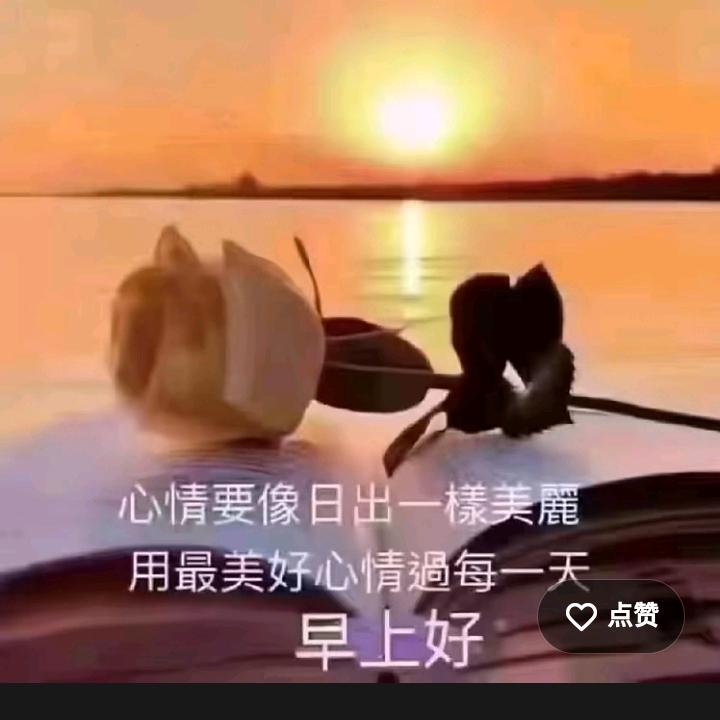 ꦿ໊✨一生🦋᭄无悔💞⃨ઈ࿐