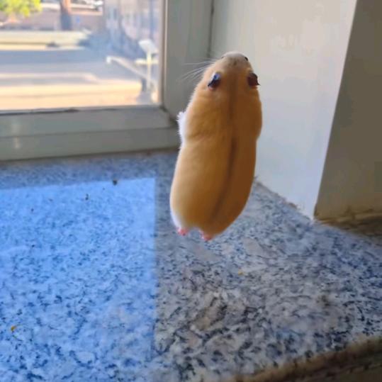 11111