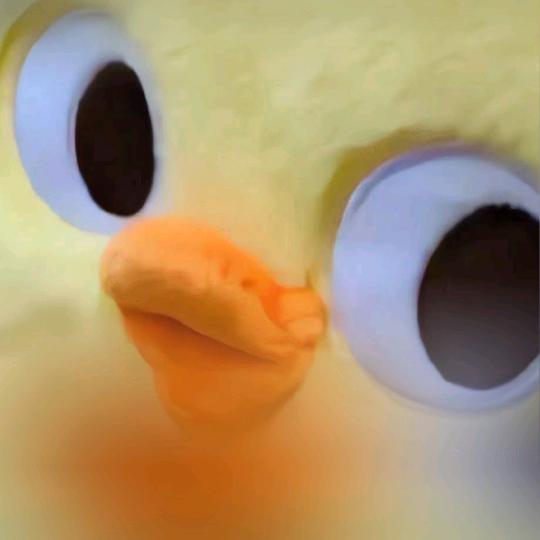 用户985436786