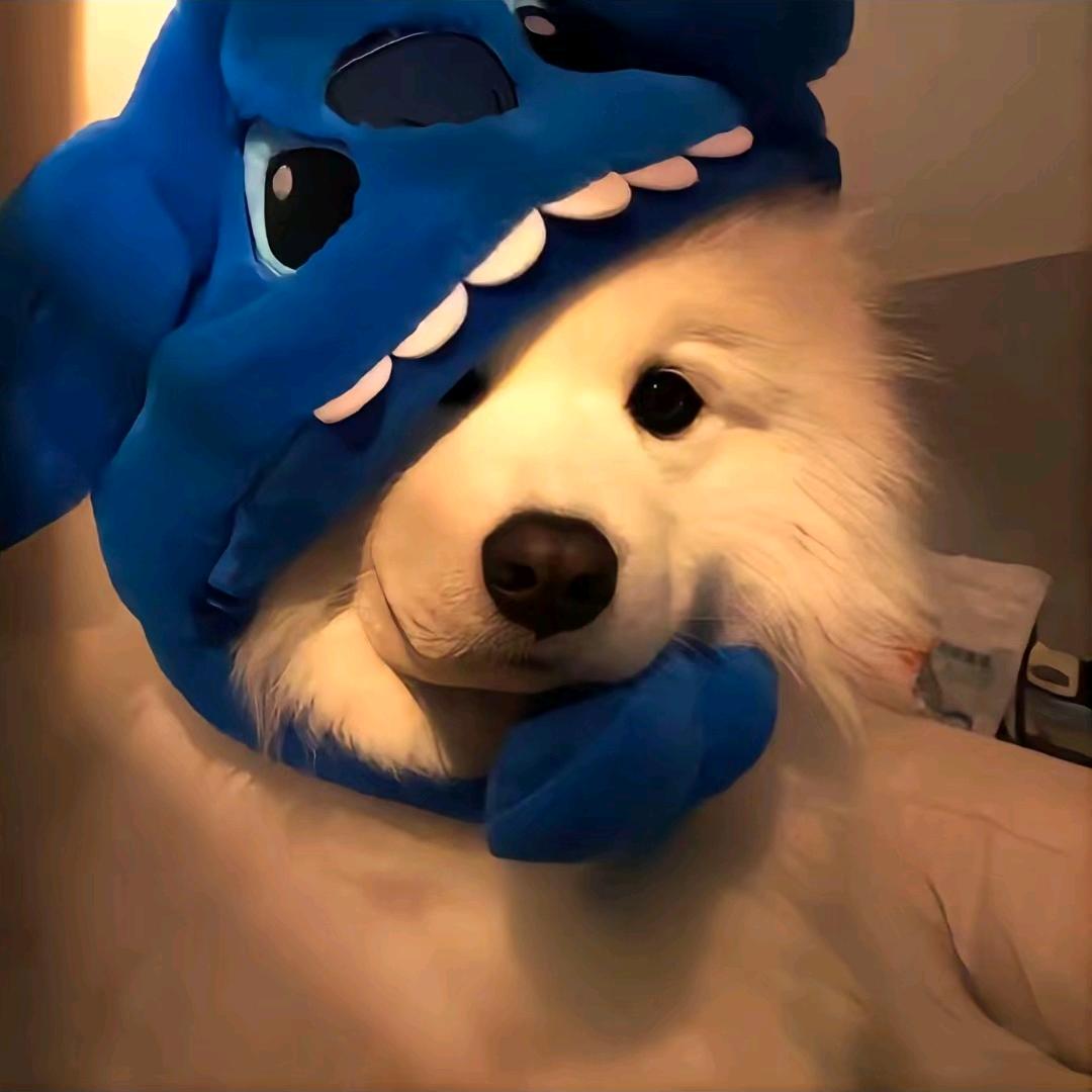 三月