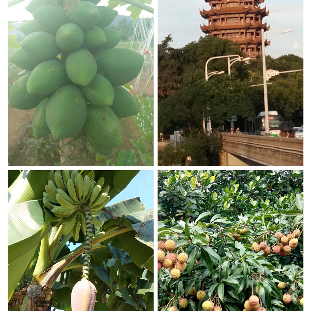 千千万万遍⭐二少