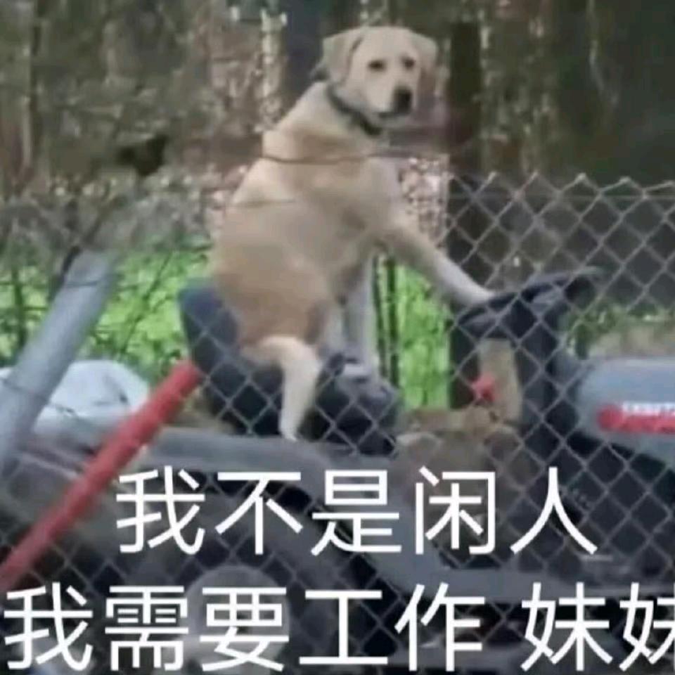 疯狂星期五