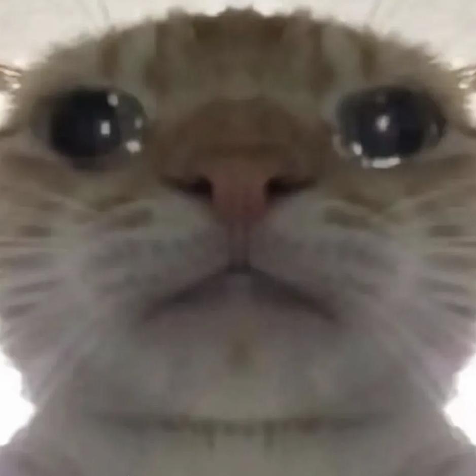 阿鑫