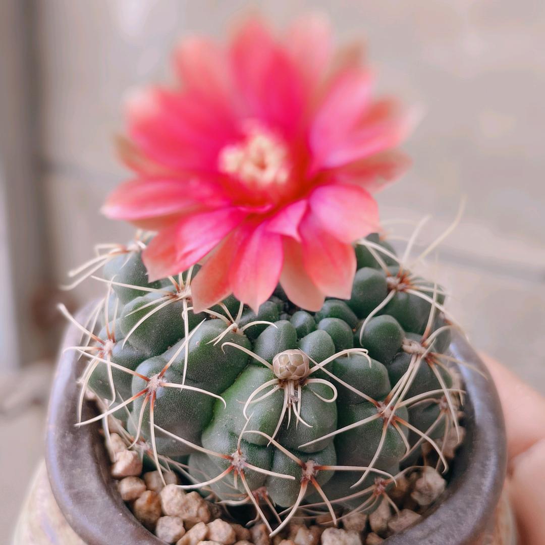 期待明天会更好