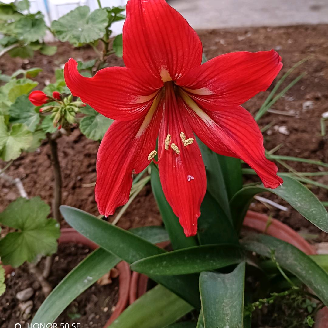 平平安安