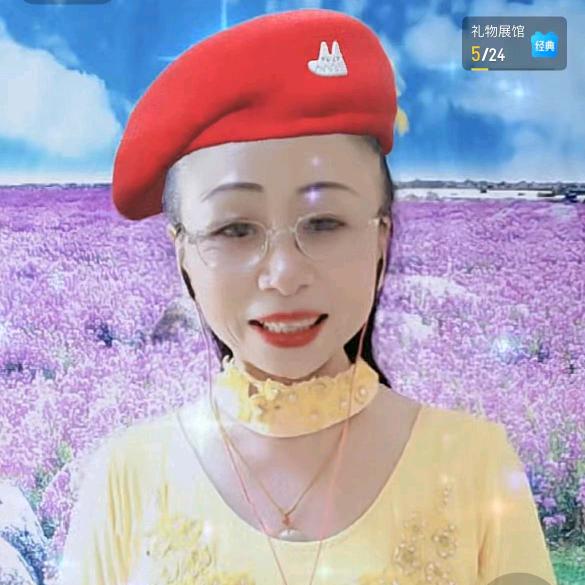 梦飞舞