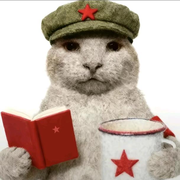 杰克的猫meme剧场