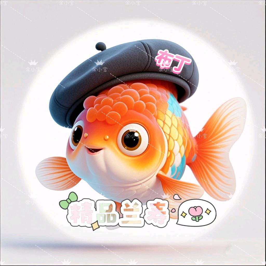 布丁观赏鱼