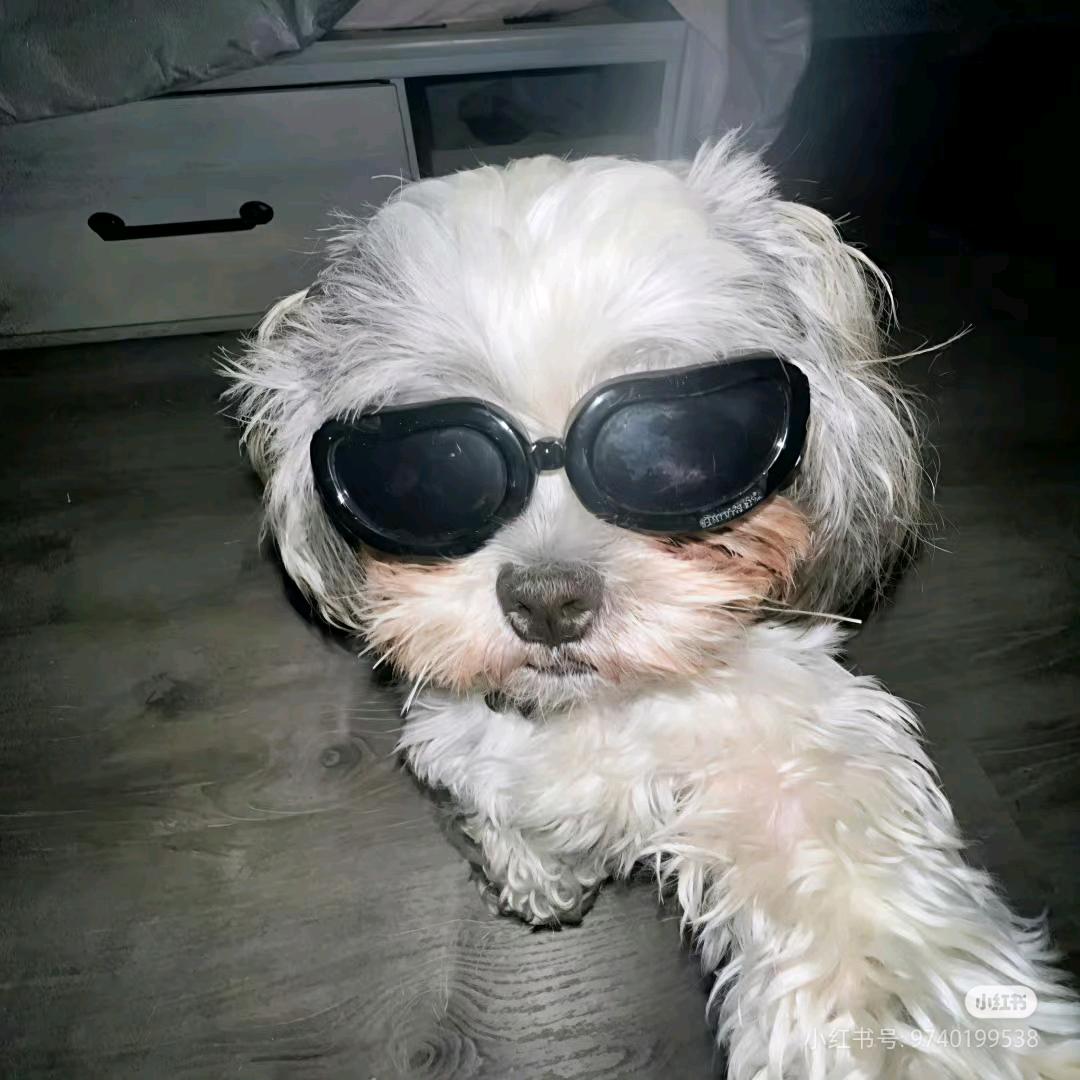 忧郁的绝世帅哥