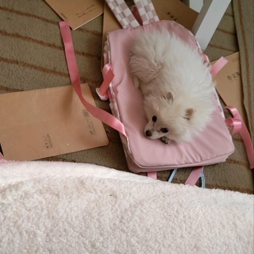 ঞᩚ余ꦿ᭄生꧔ꦿ爱᭄自己ꦿꪟ: