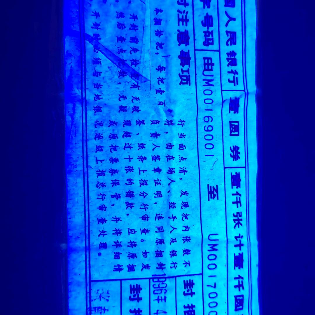 红枫林